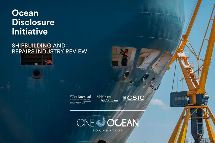 Immagine per articolo Shipbuilding & Repairs Industry and its impact on the ocean: analysis and solutions