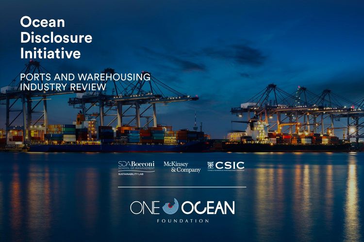 Immagine per articolo Ports & Warehousing industry review: its impact on the ocean and possible solutions