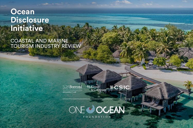 Immagine per articolo Coastal and marine tourism industry and its impact on the ocean: analysis and solutions