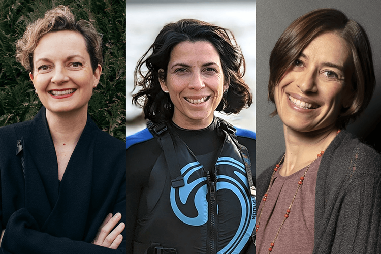 Immagine per articolo Tre esperti di fama internazionale si uniscono al Comitato Scientifico di One Ocean Foundation