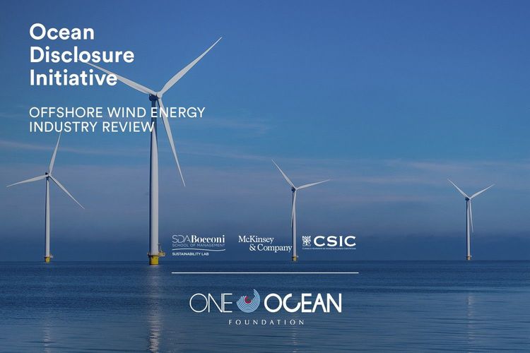 Immagine per articolo Offshore Wind Energy Industry and its impact on the ocean: analysis and solutions