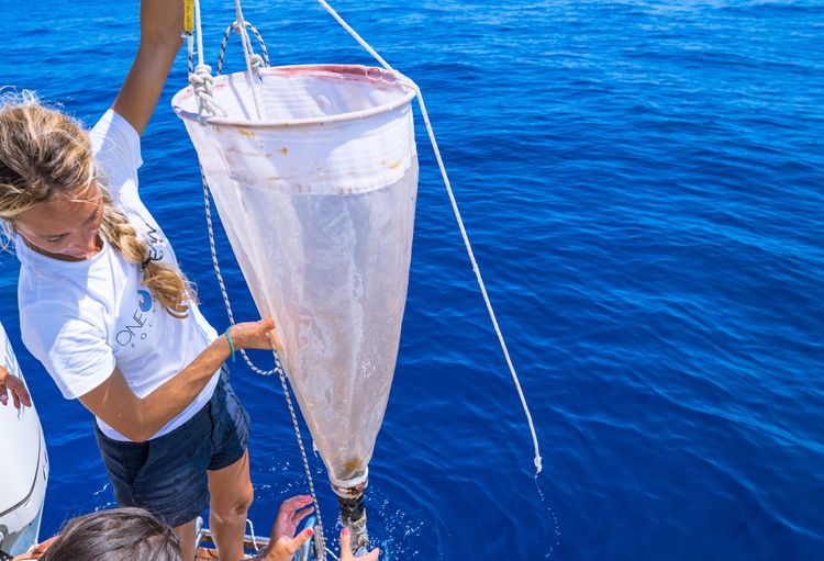 Immagine per articolo Zooplankton as the sentinel of the Adriatic Sea: new data on persistent organic pollutants and heavy metals