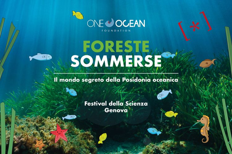 Immagine per articolo Underwater Forests: The Secret World of Posidonia Oceanica