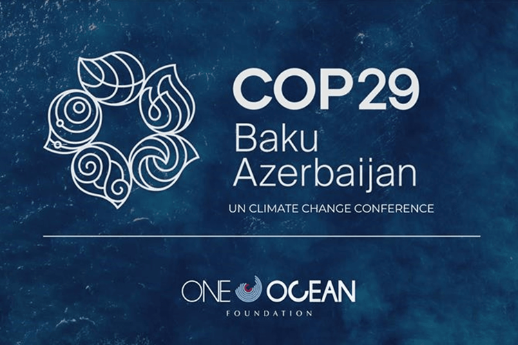 Immagine per articolo One Ocean Foundation alla COP29: promuovere l'economia blu