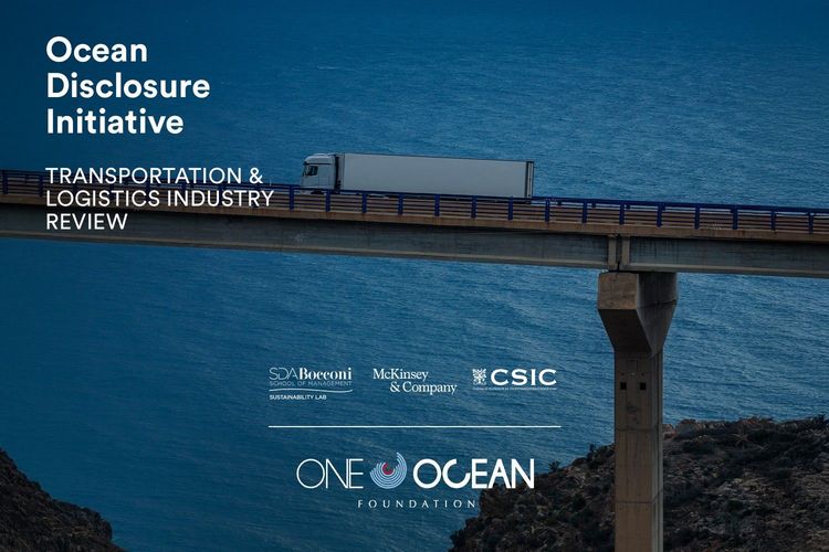 Immagine per articolo Review del settore dei trasporti e della logistica: impatto sul mare e possibili soluzioni