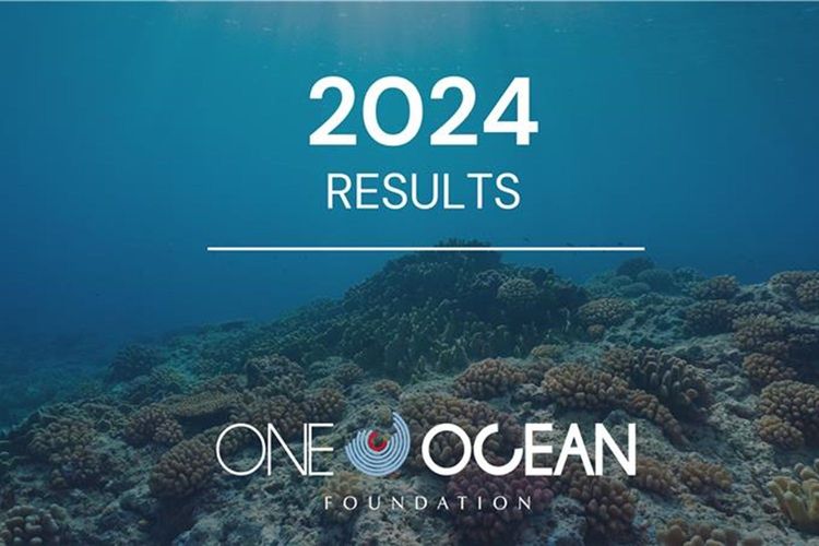 Immagine per articolo One Ocean Foundation: riepilogo dei risultati 2024