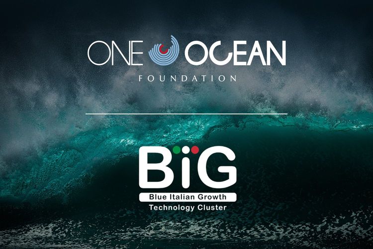 Immagine per articolo One Ocean Foundation joins CLUSTER BIG