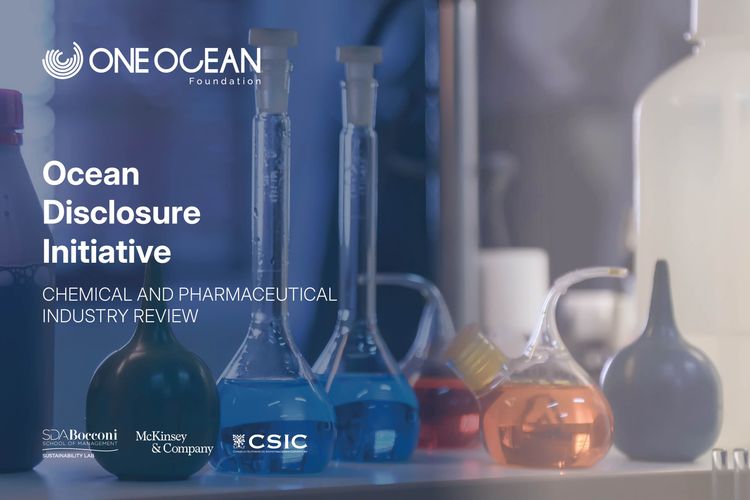 Immagine per articolo Review sull'industria chimica e farmaceutica: impatto sull'oceano e soluzioni potenziali
