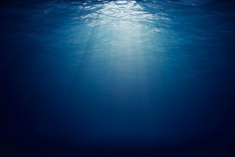 Immagine di copertina