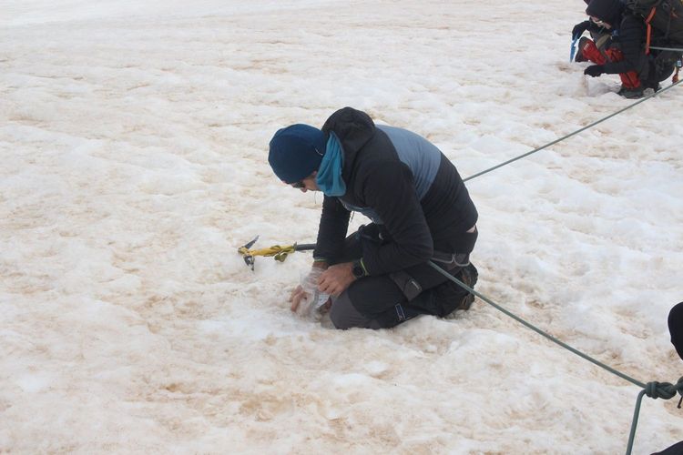 Immagine per articolo One Ocean Foundation and University of Milan: first large-scale map of contamination in italian glaciers published