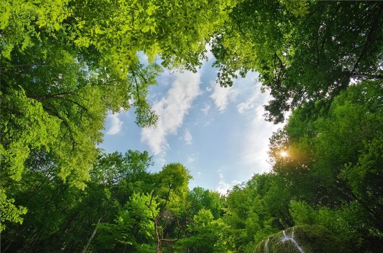 Nature finance: come la natura può entrare nei bilanci pubblici