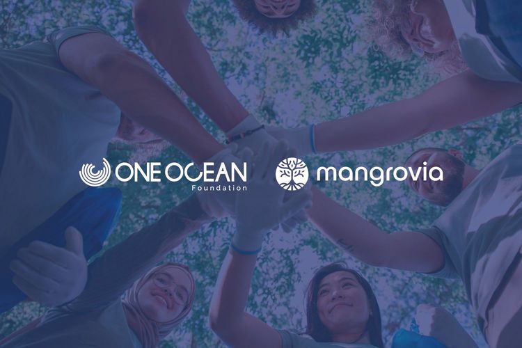 Immagine per articolo Mangrovia and One Ocean Foundation: a new collaboration