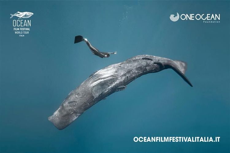 Immagine per articolo One Ocean Foundation e Ocean Film Festival Italia: un’alleanza per raccontare il mare