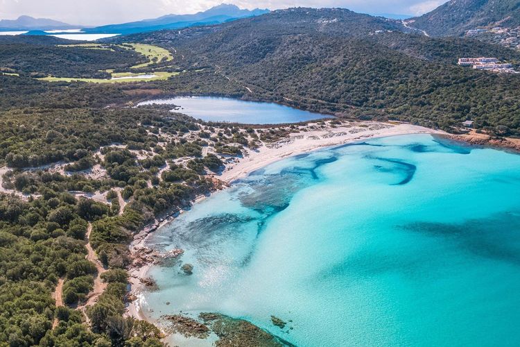 Immagine per articolo One Ocean Foundation and Smeralda Holding join forces to protect the dunes of Grande Pevero in Costa Smeralda