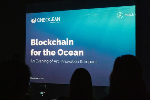 One Ocean Foundation launches its first NFT collection