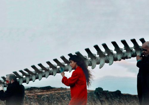 Anahita Babaei: New One Ocean Ambassador