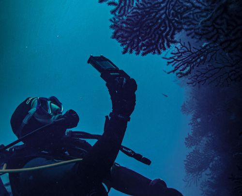  Lollomarittimo, welcome to our team of Ambassadors!