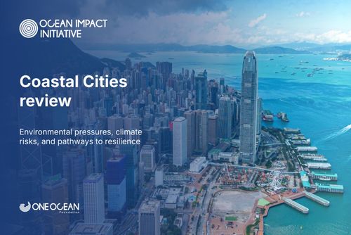 Coastal cities and the Ocean: risks, impacts, and the path to resilience