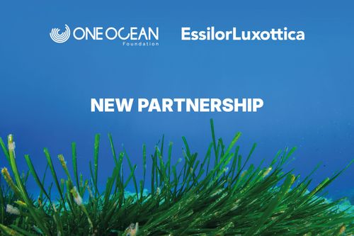 EssilorLuxottica and One Ocean Foundation Join Forces to Restore the Mediterranean Sea 